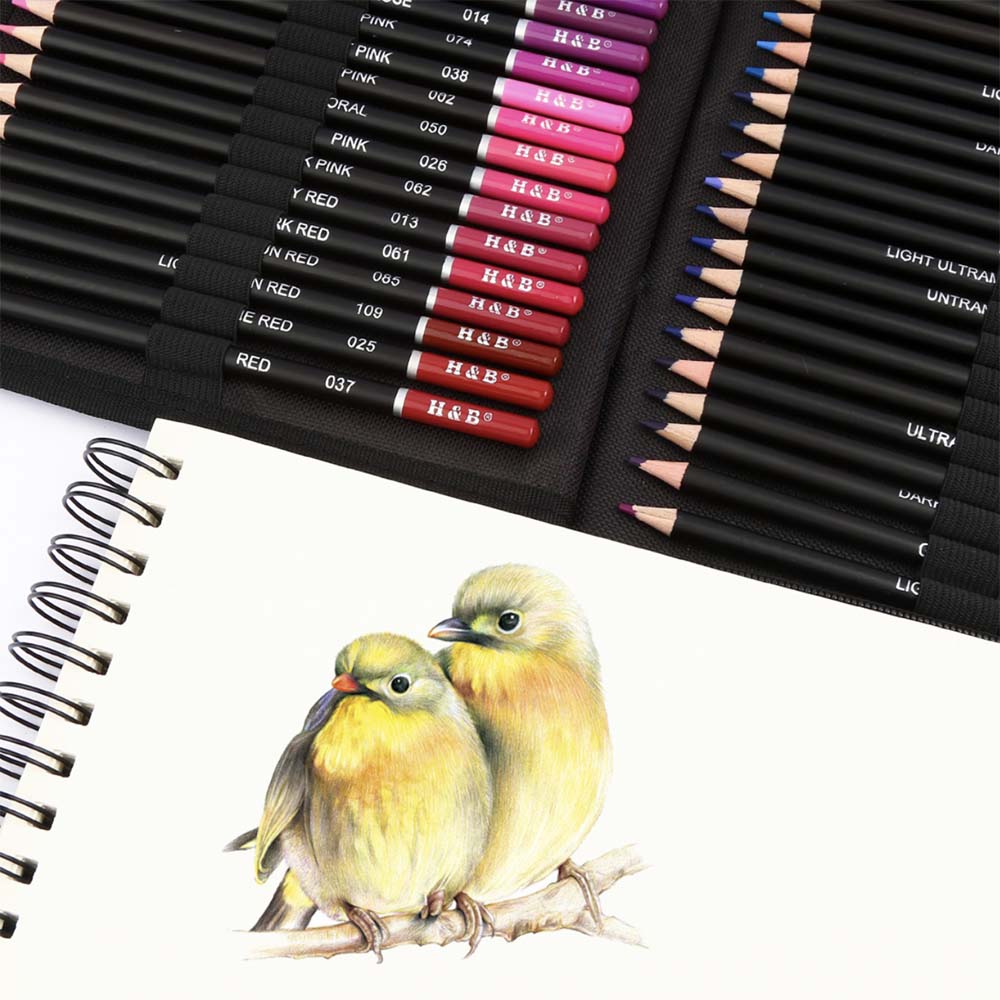 zestaw ołówków do szkicowania kolorowania HB 145w1